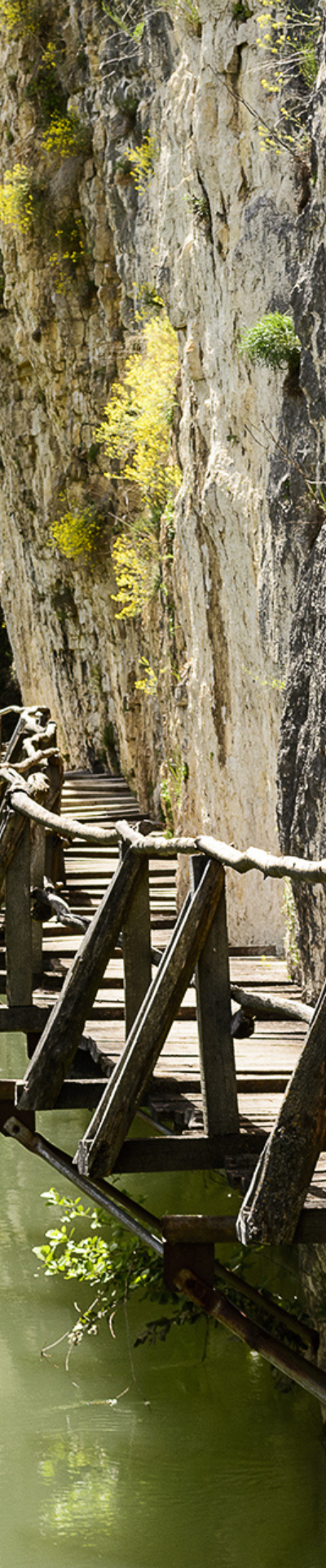 The most beautiful eco trails