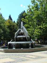 The Fountain