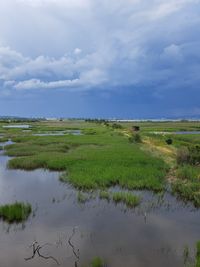 Poda Protected Site