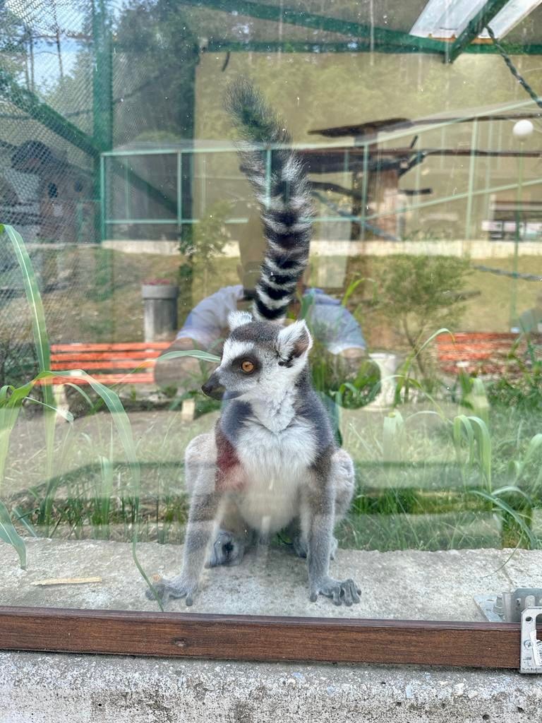 Zoo