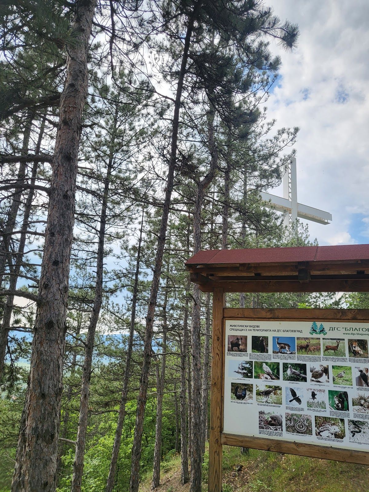 Cross Site  – photo 5