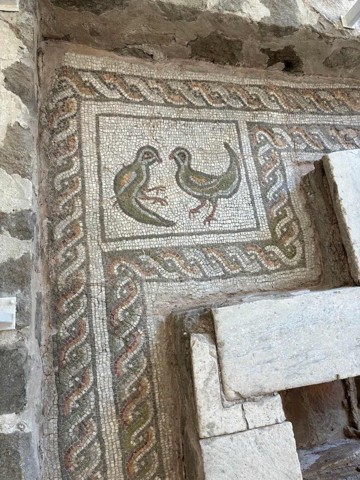 Малка базилика – снимка 2