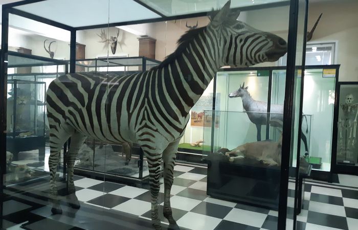 National Museum of Natural History – photo 3