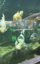 Varna Aquarium