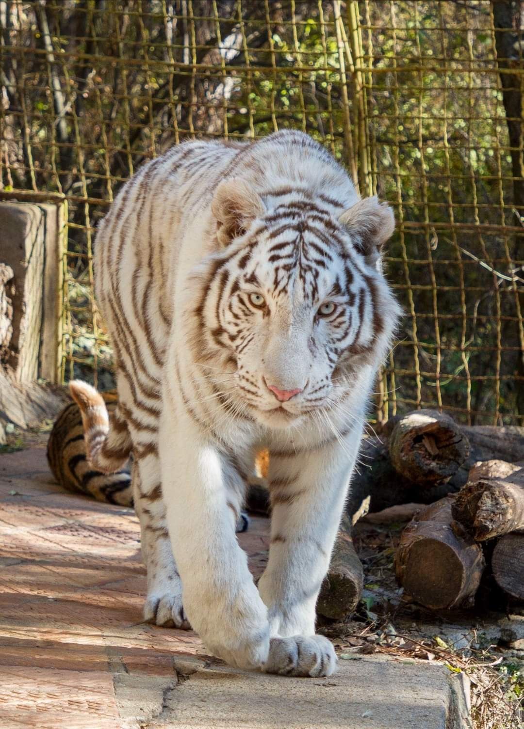 Zoo