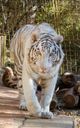 Zoo