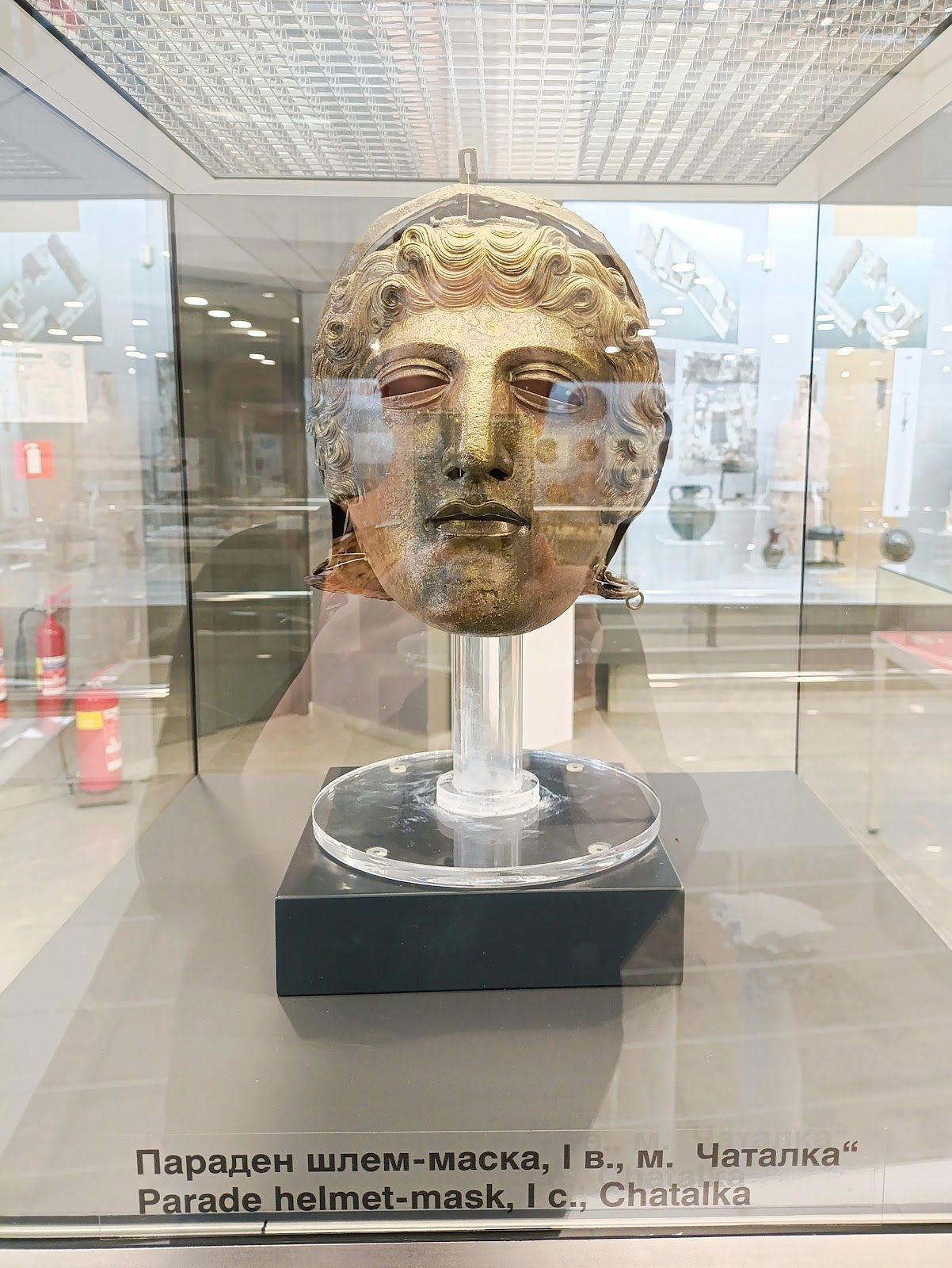 Regional History Museum – photo 5