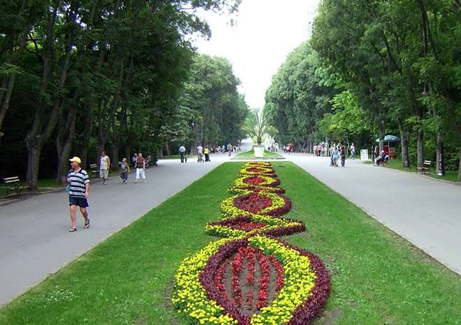 Морска градина – снимка 2