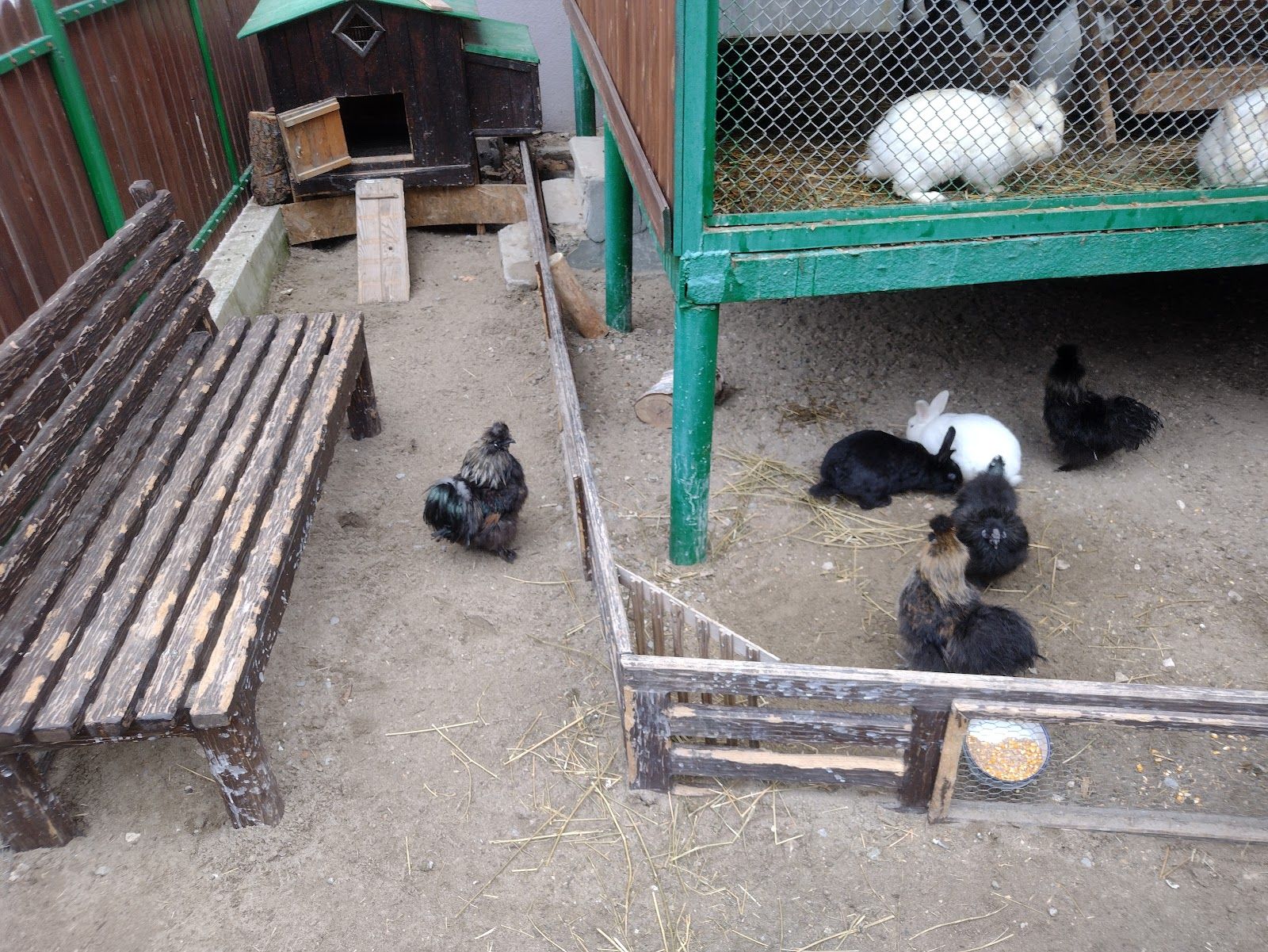 Zoo – photo 4