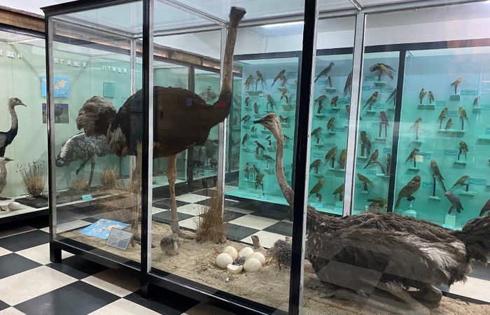 National Museum of Natural History – photo 4