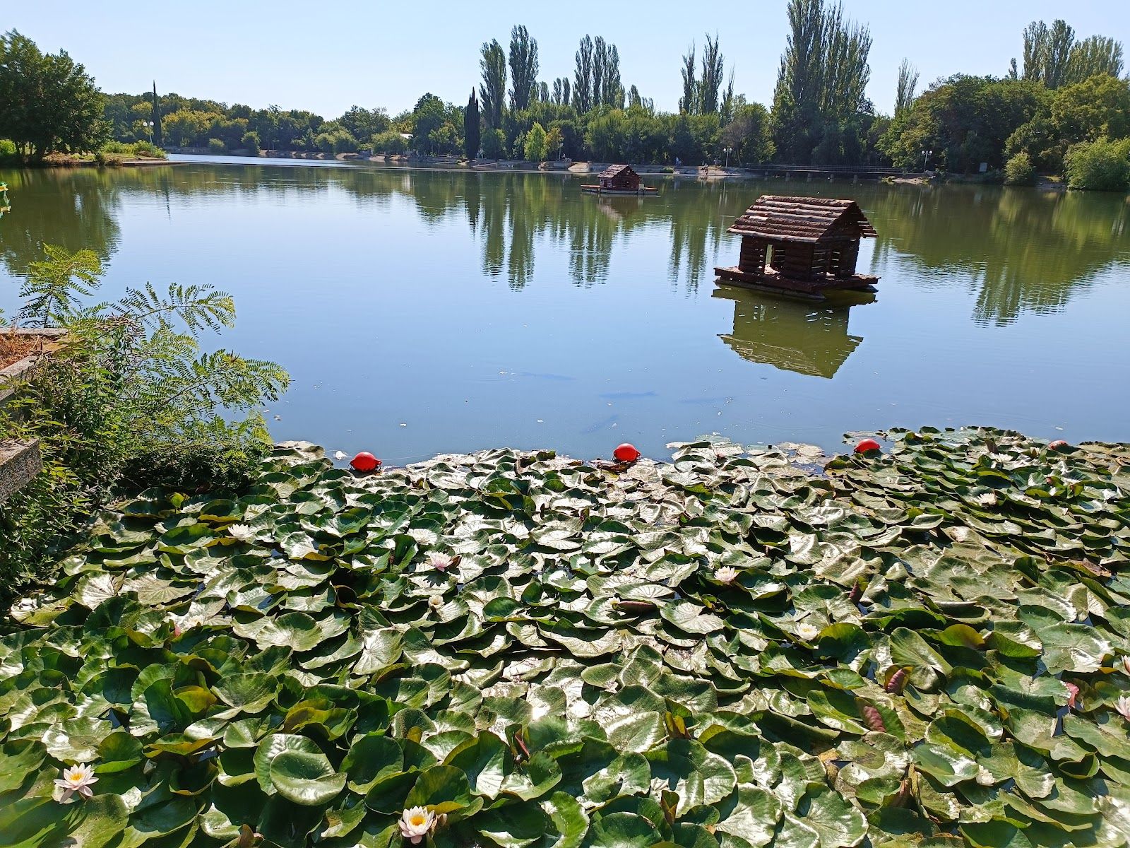 Bedechka Park
