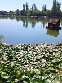 Bedechka Park