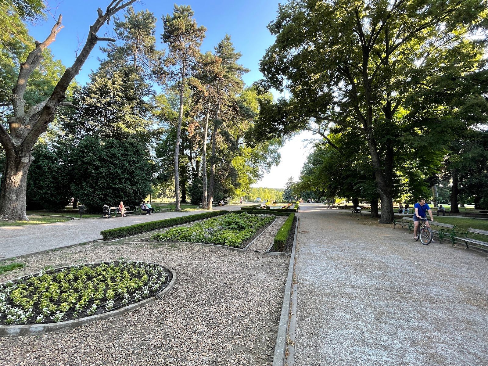 City Park 'Sveti Georgi' – photo 2