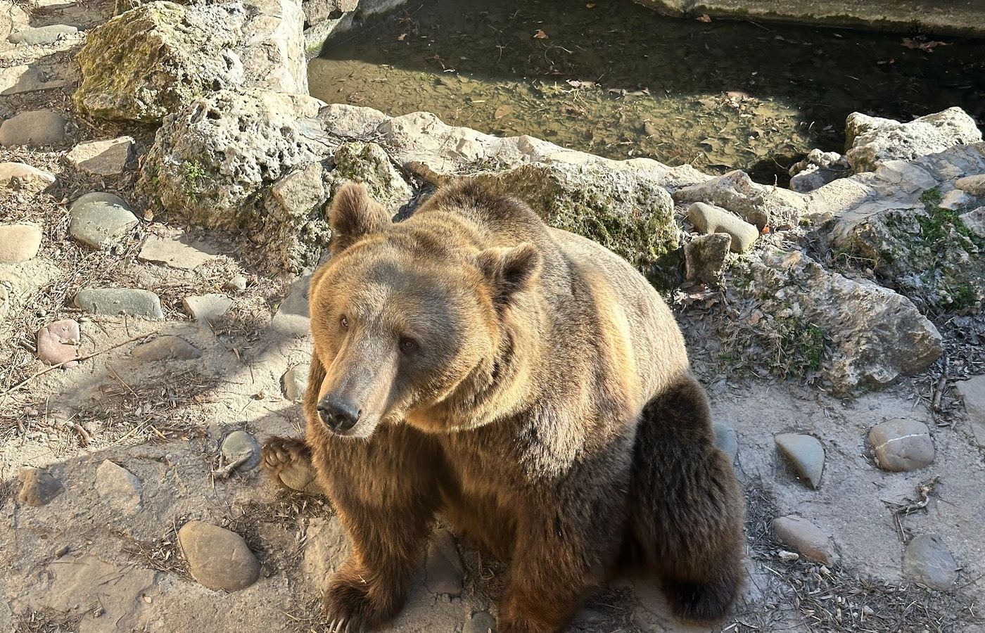 Zoo – photo 1