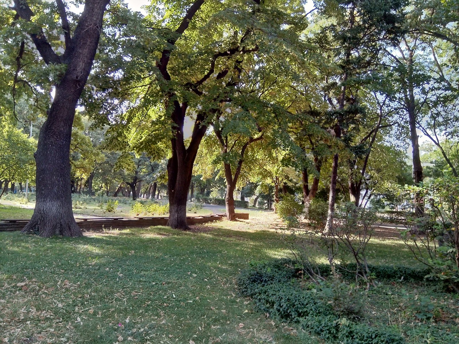 Town Garden – photo 1