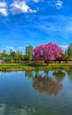 Lake Zagorka
