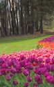 University Botanical Garden