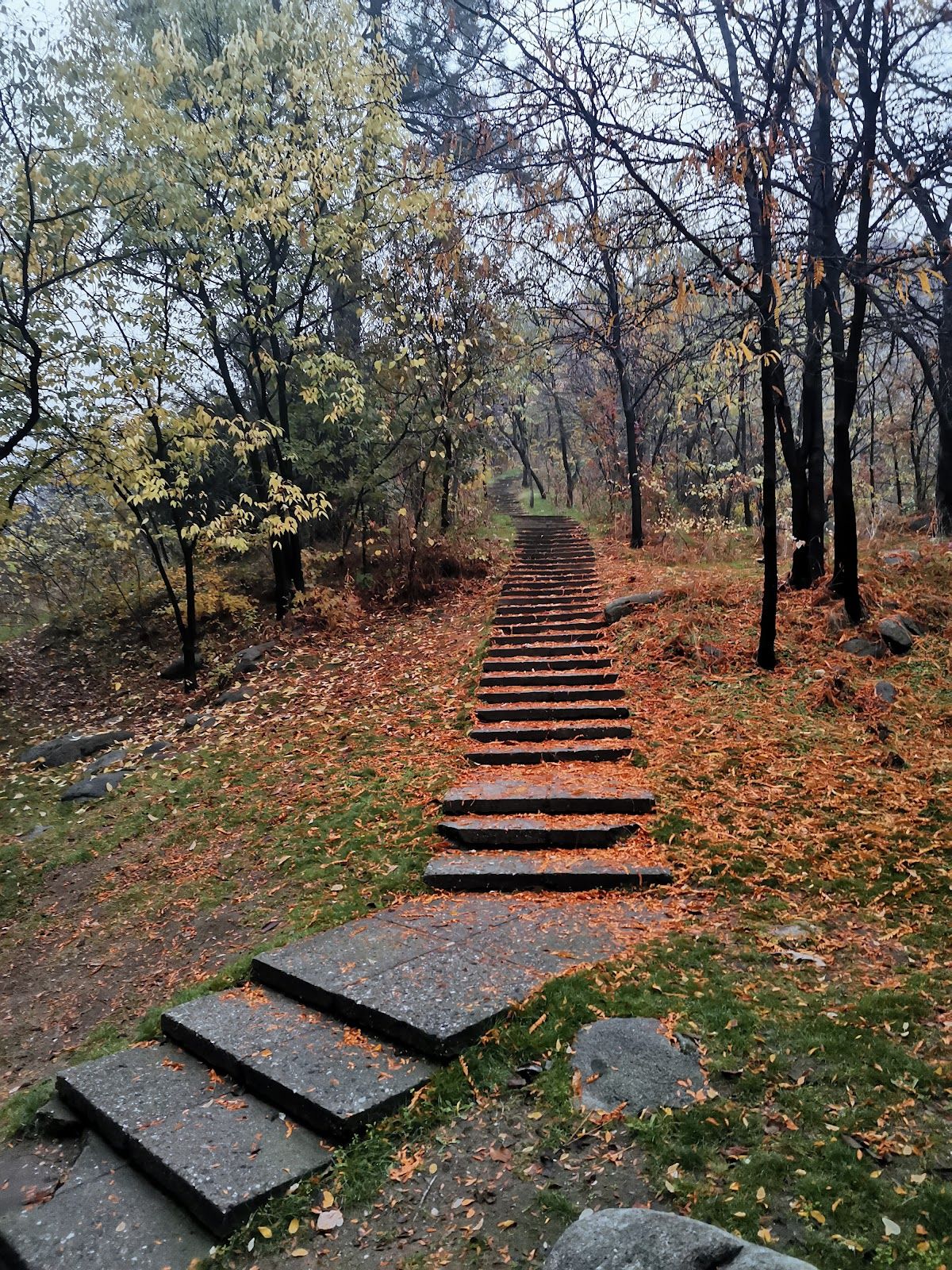 Youth Hill (Dzhendem Tepe) – photo 3