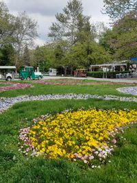 Youth Park