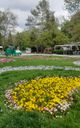 Youth Park