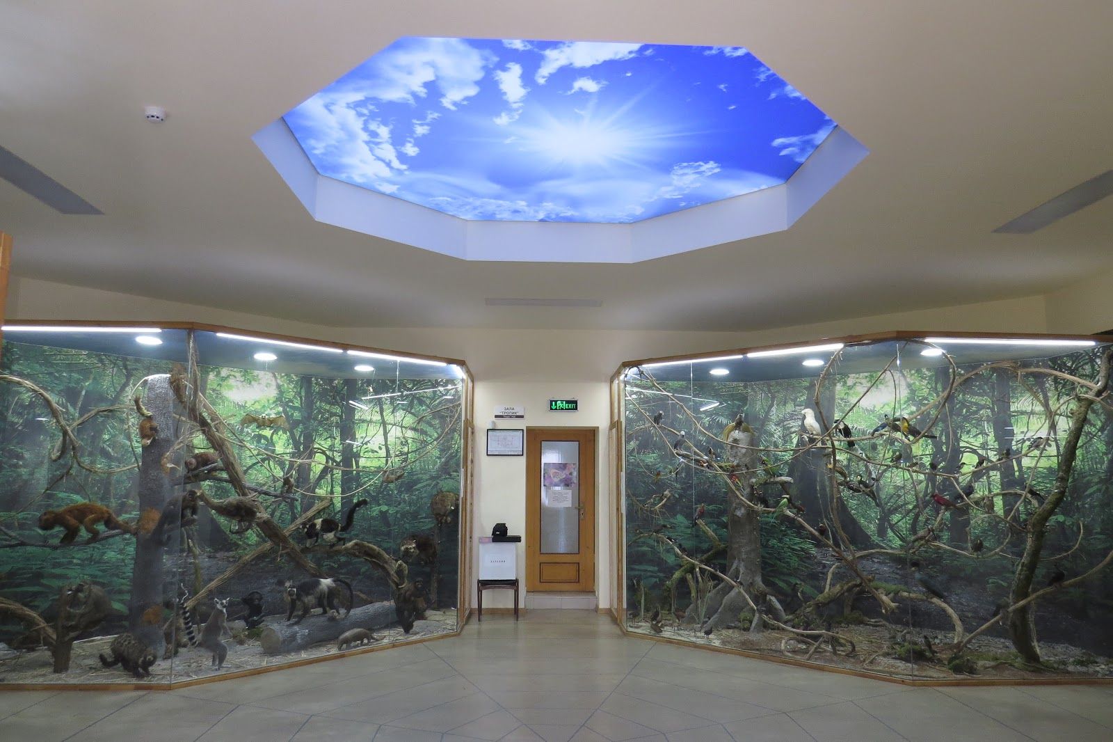 Natural History Museum