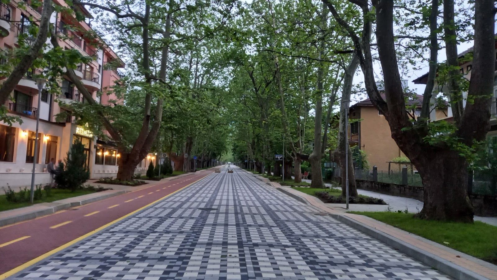 Alley of the Plane Trees