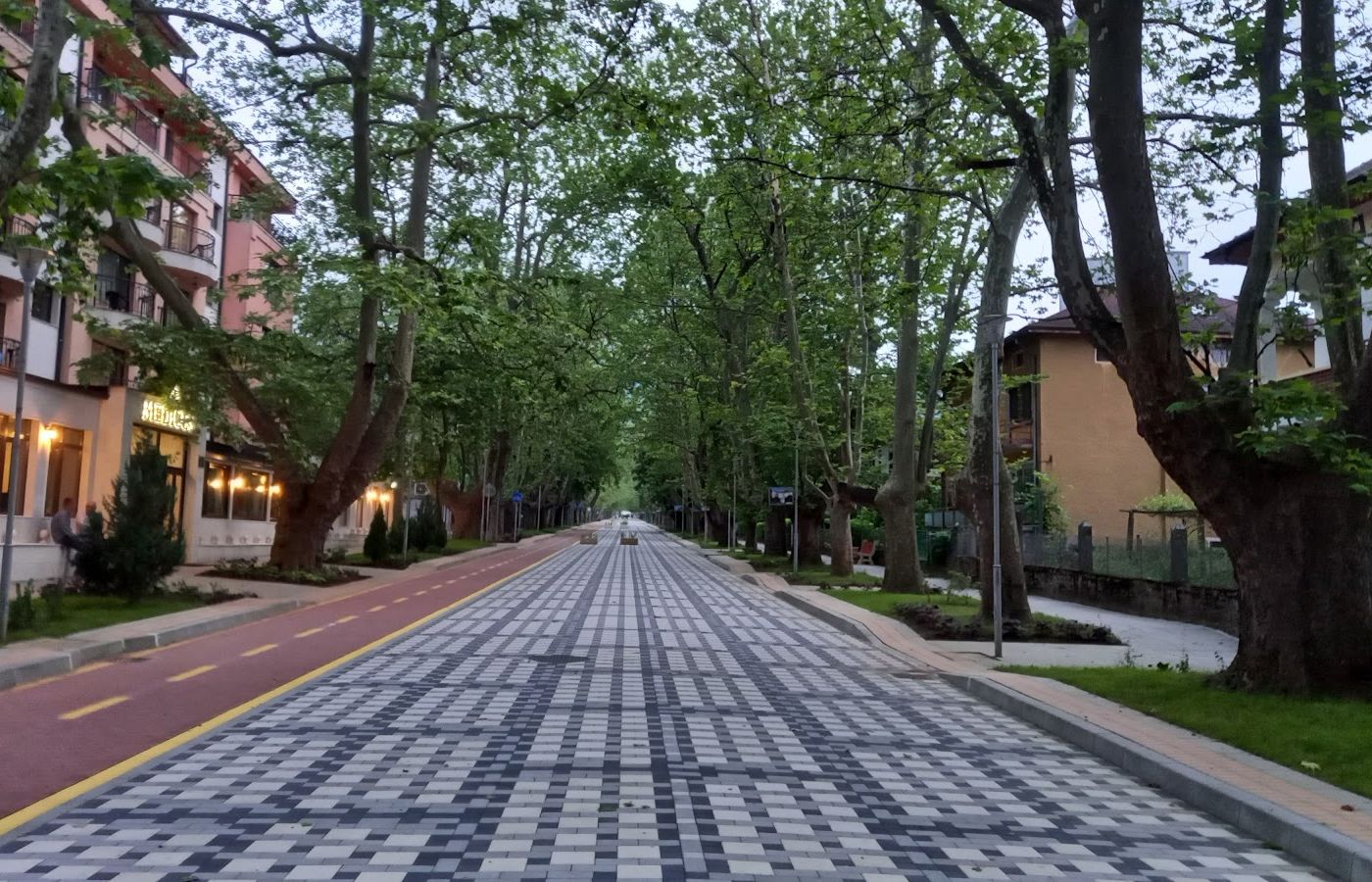 Alley of the Plane Trees