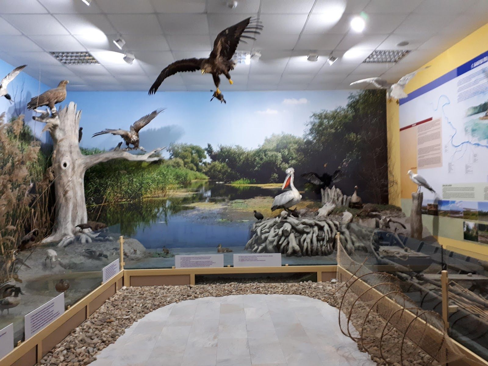 The Eco Museum and Aquarium – photo 2