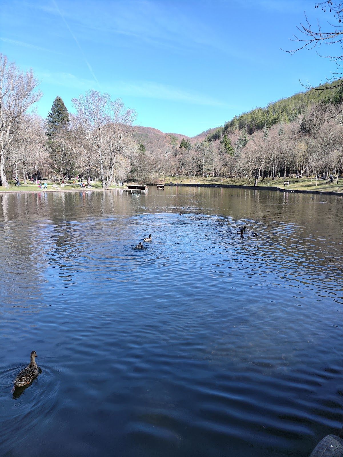 Bachinovo Park – photo 1