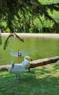 Take a walk through Bachinovo Park