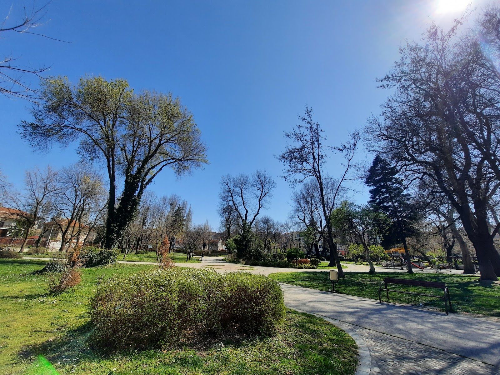 City Garden – photo 2