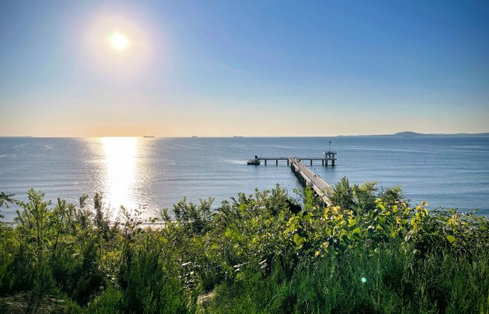 Sea Garden – photo 5