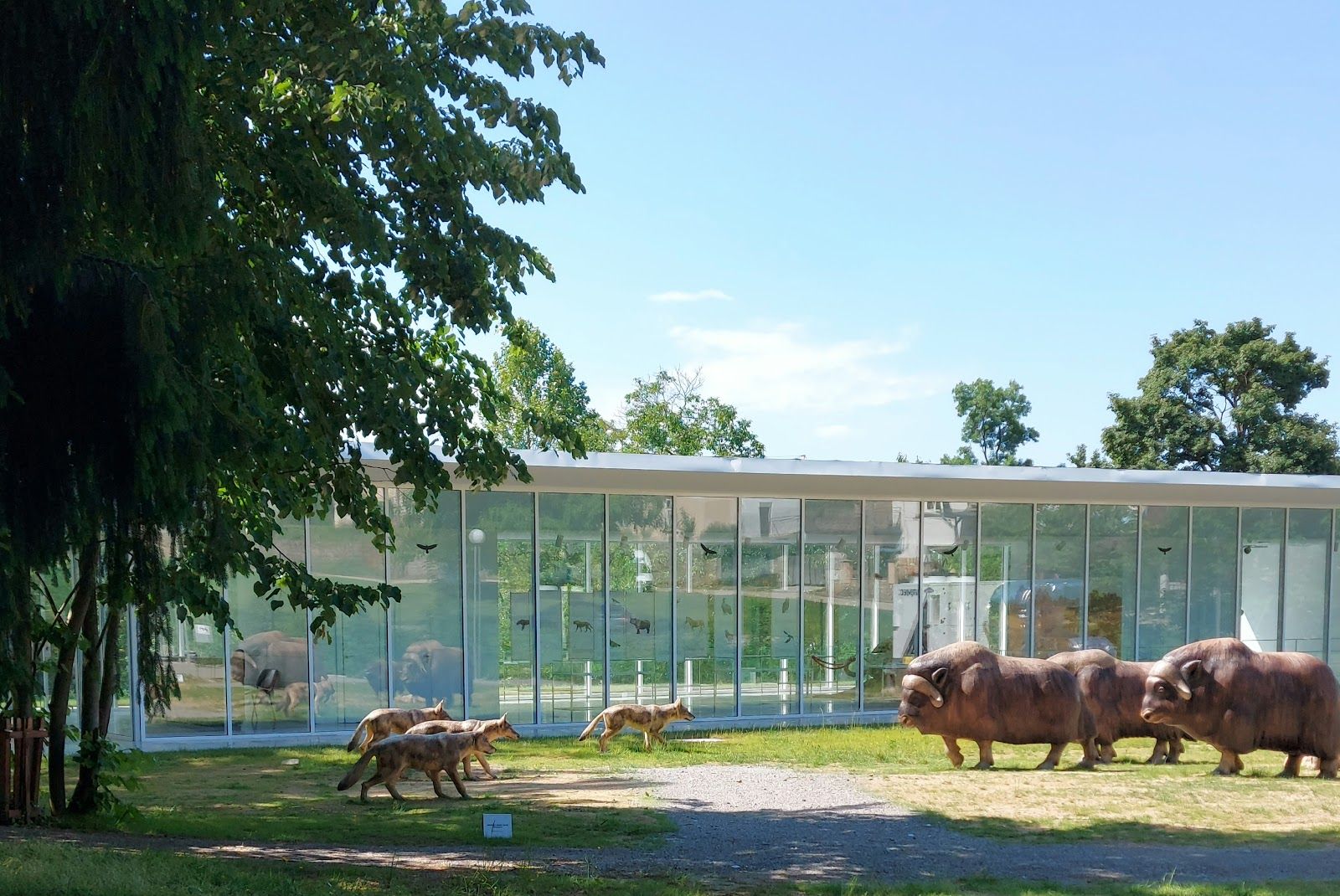 Paleopark