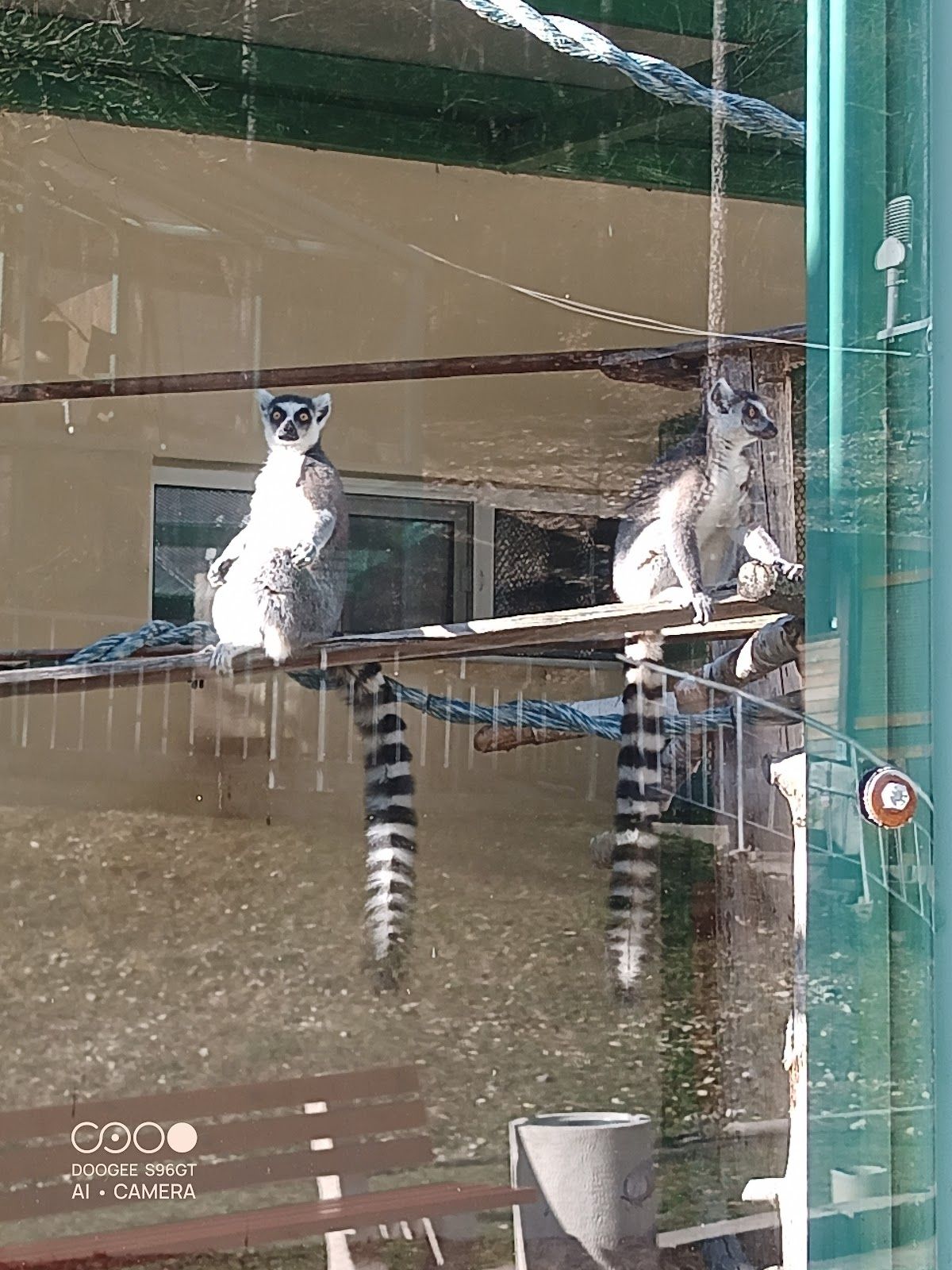 Zoo – photo 1