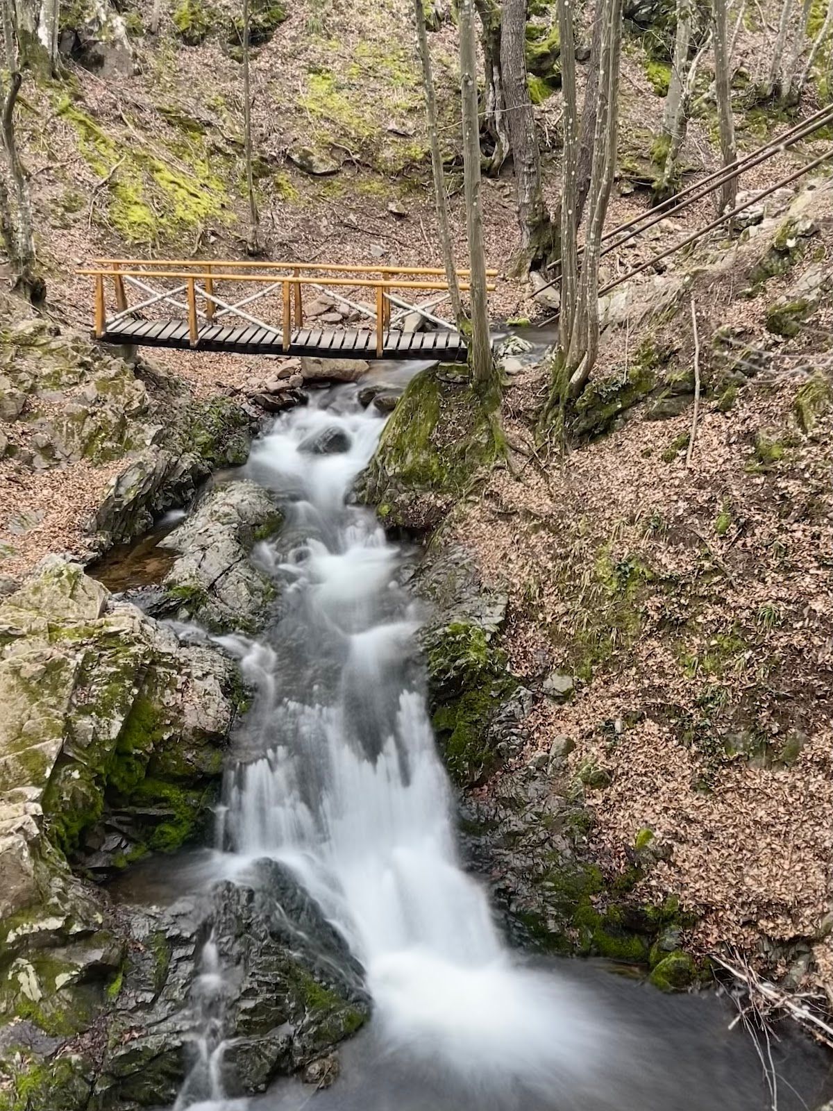 Paradise Corner Waterfall