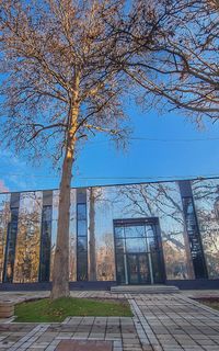 Explore the renovated History Museum