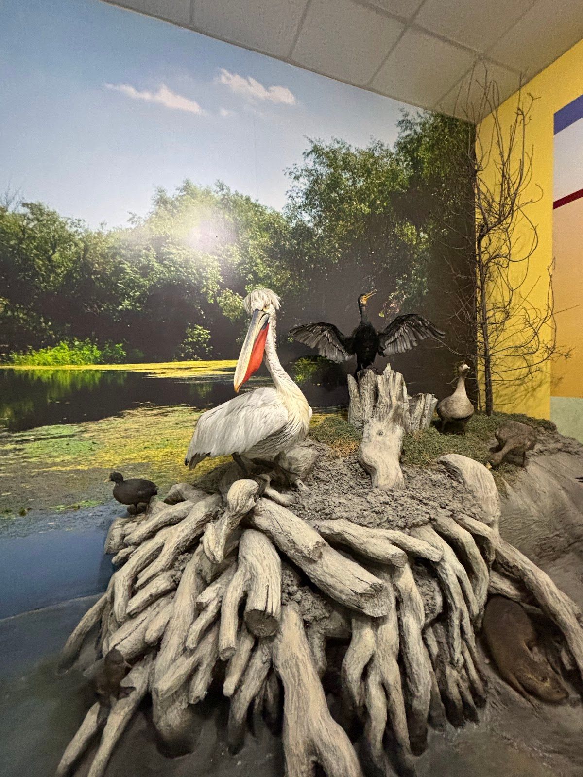 The Eco Museum and Aquarium – photo 3