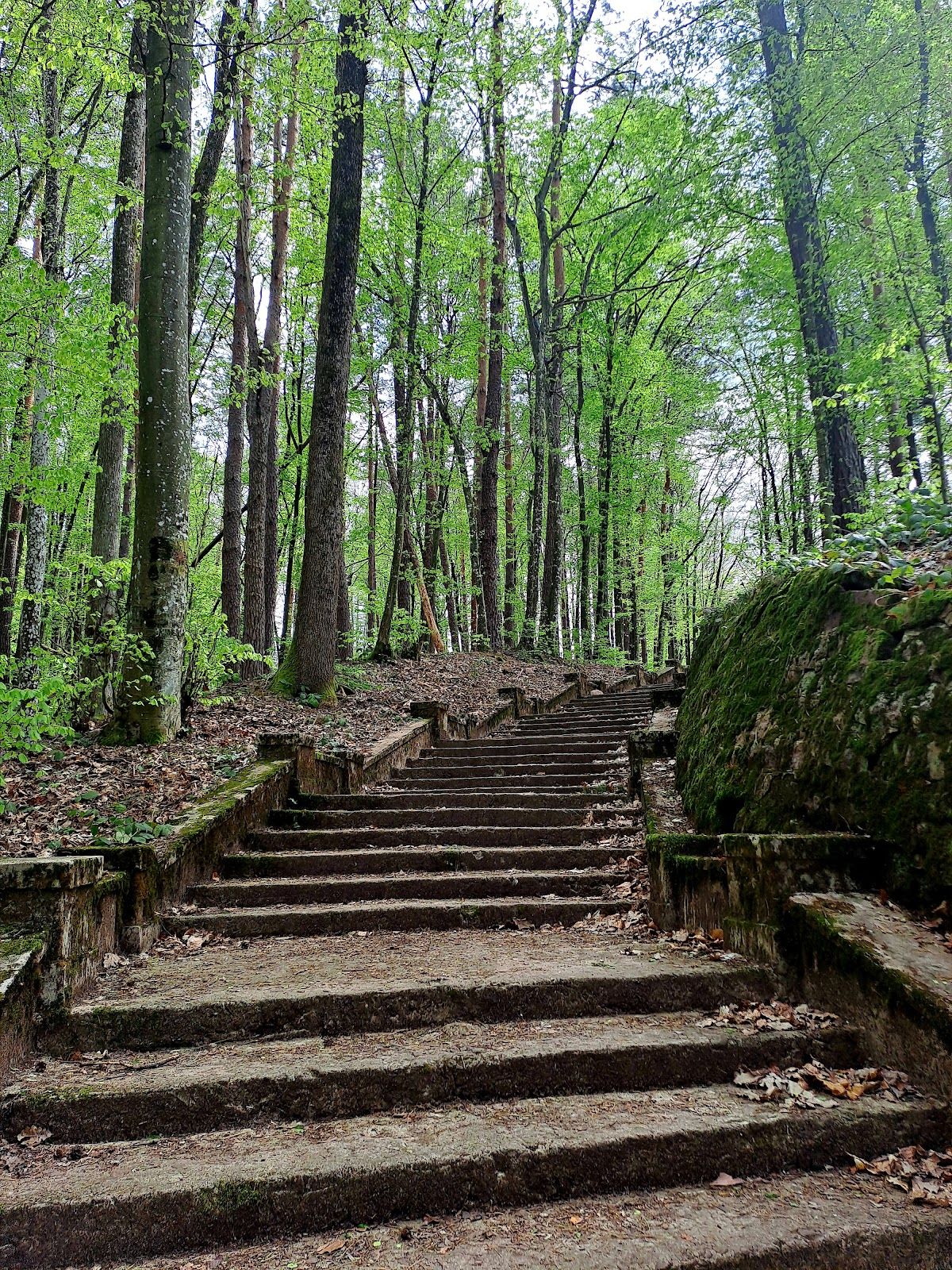 The Roman Stairs