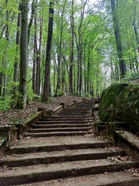 The Roman Stairs