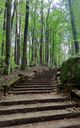 The Roman Stairs