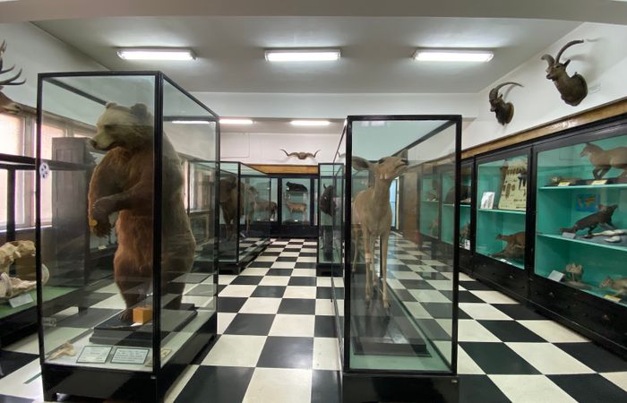 National Museum of Natural History – photo 2