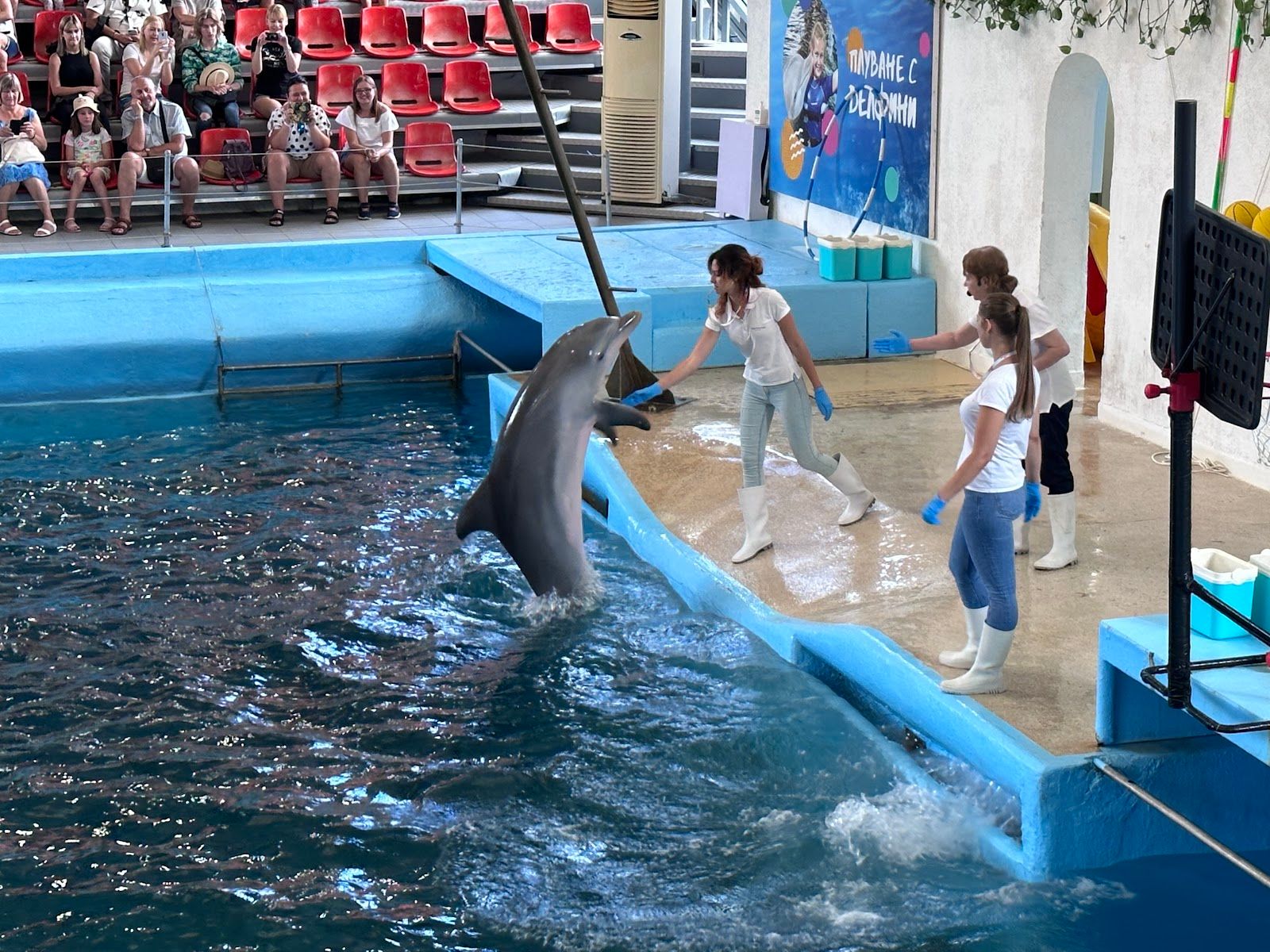 Varna Dolphinarium