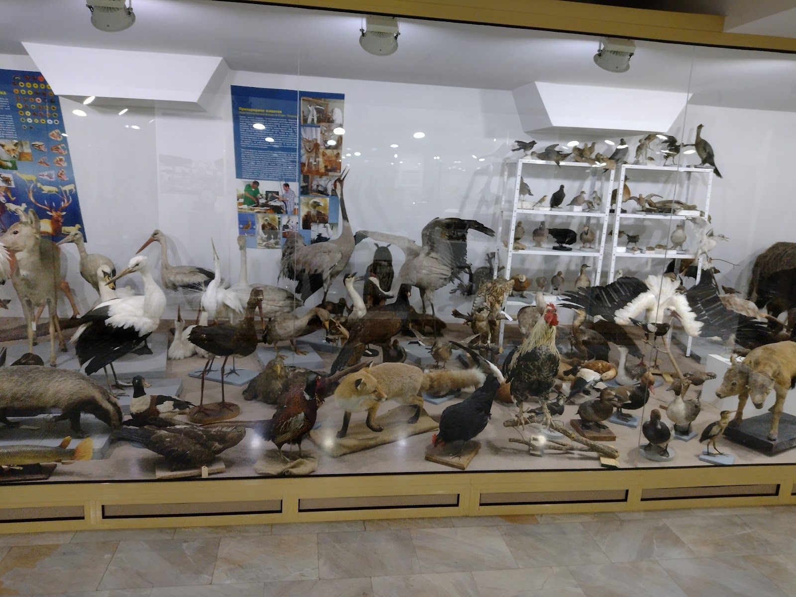 The Eco Museum and Aquarium – photo 4