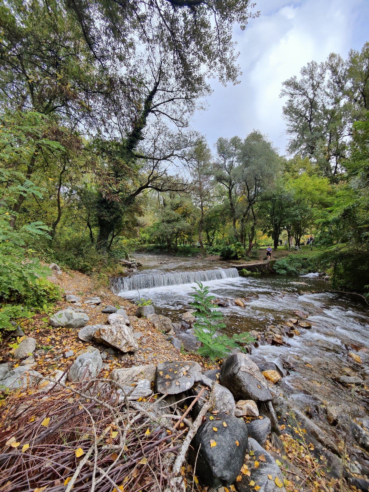Bachinovo Park – photo 5