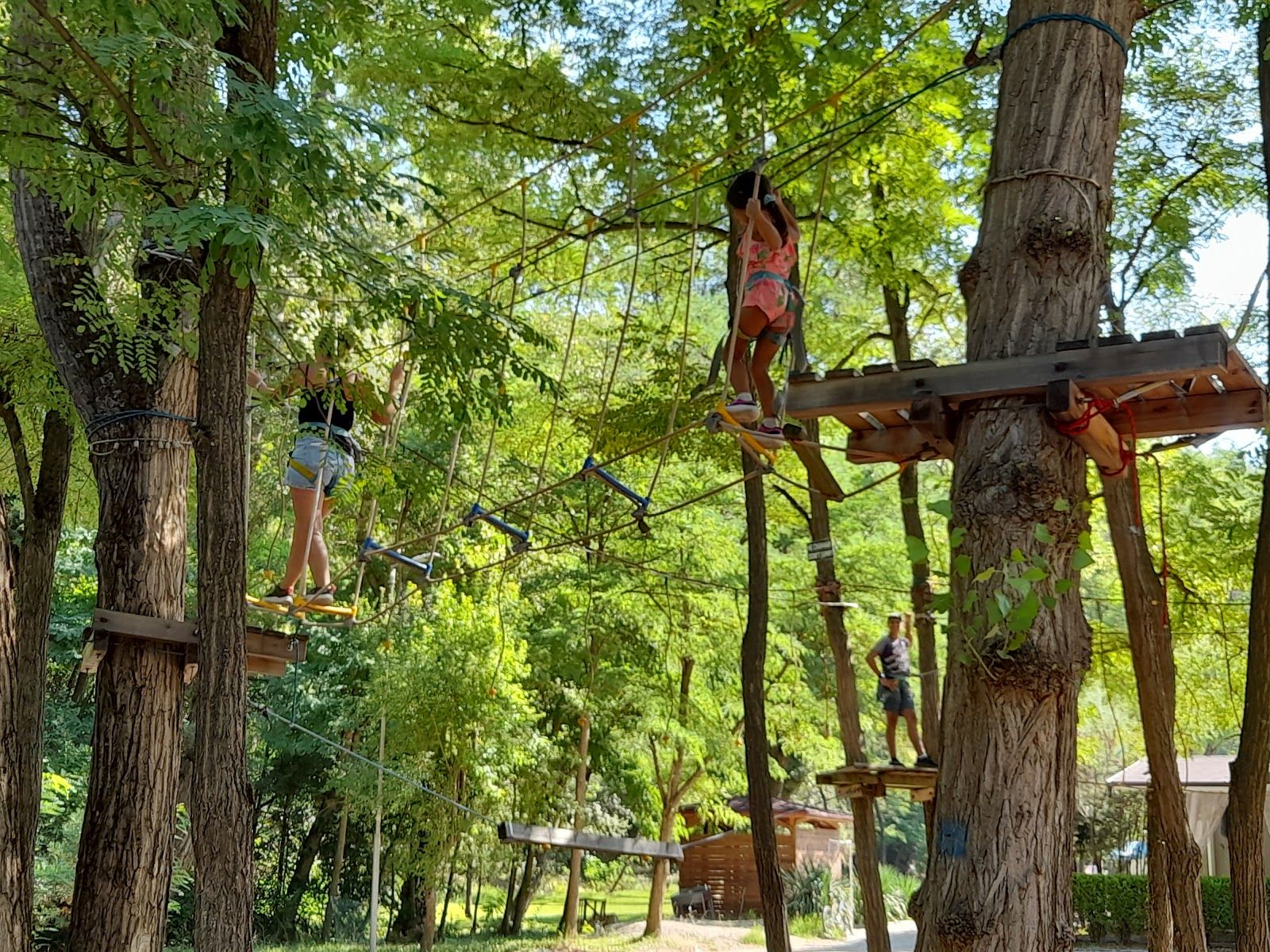 Bachinovo Park – photo 2