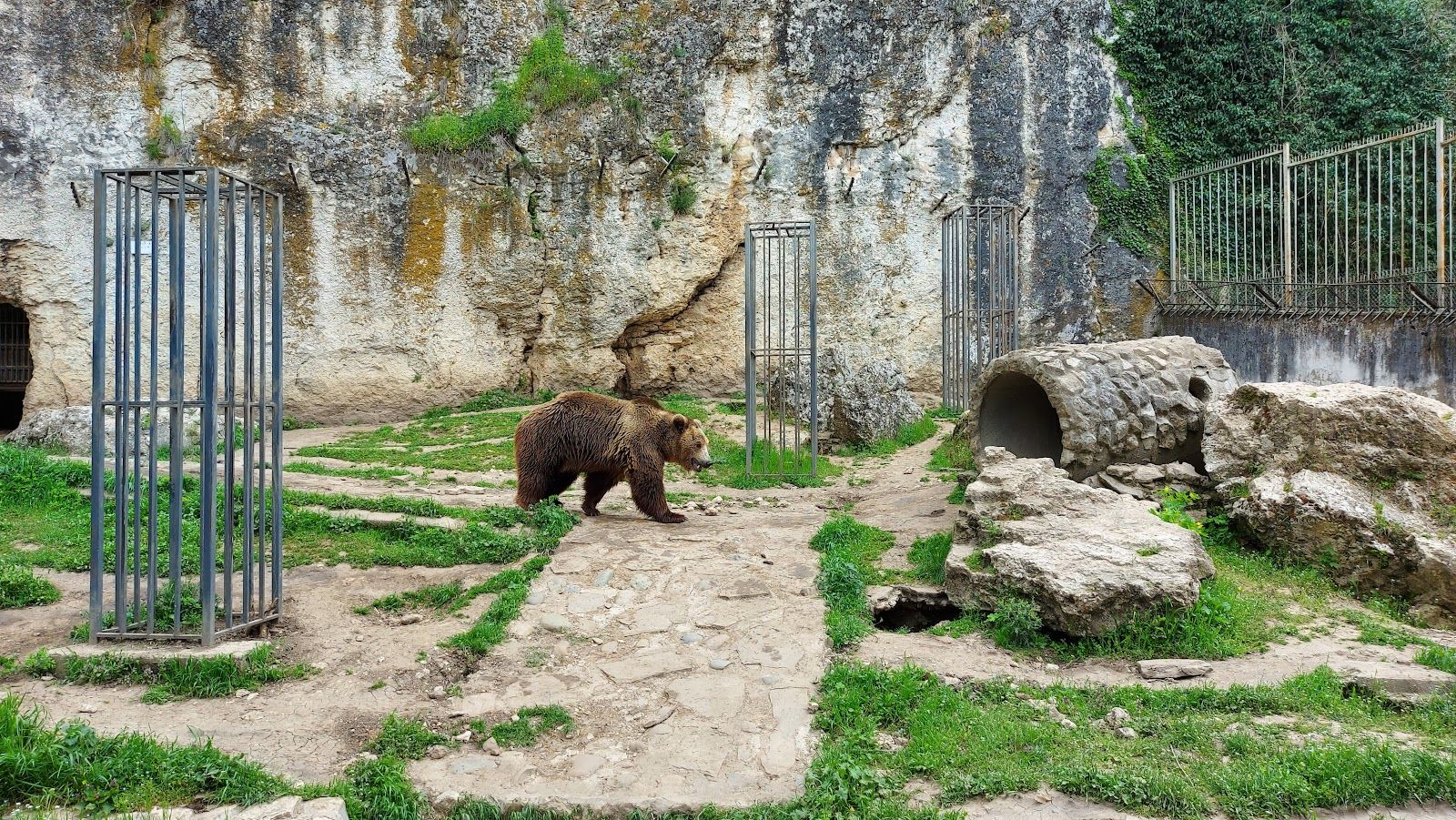 Zoo