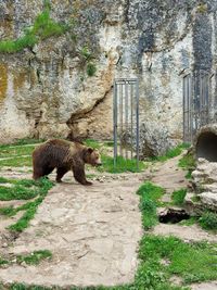 Zoo