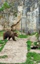 Zoo