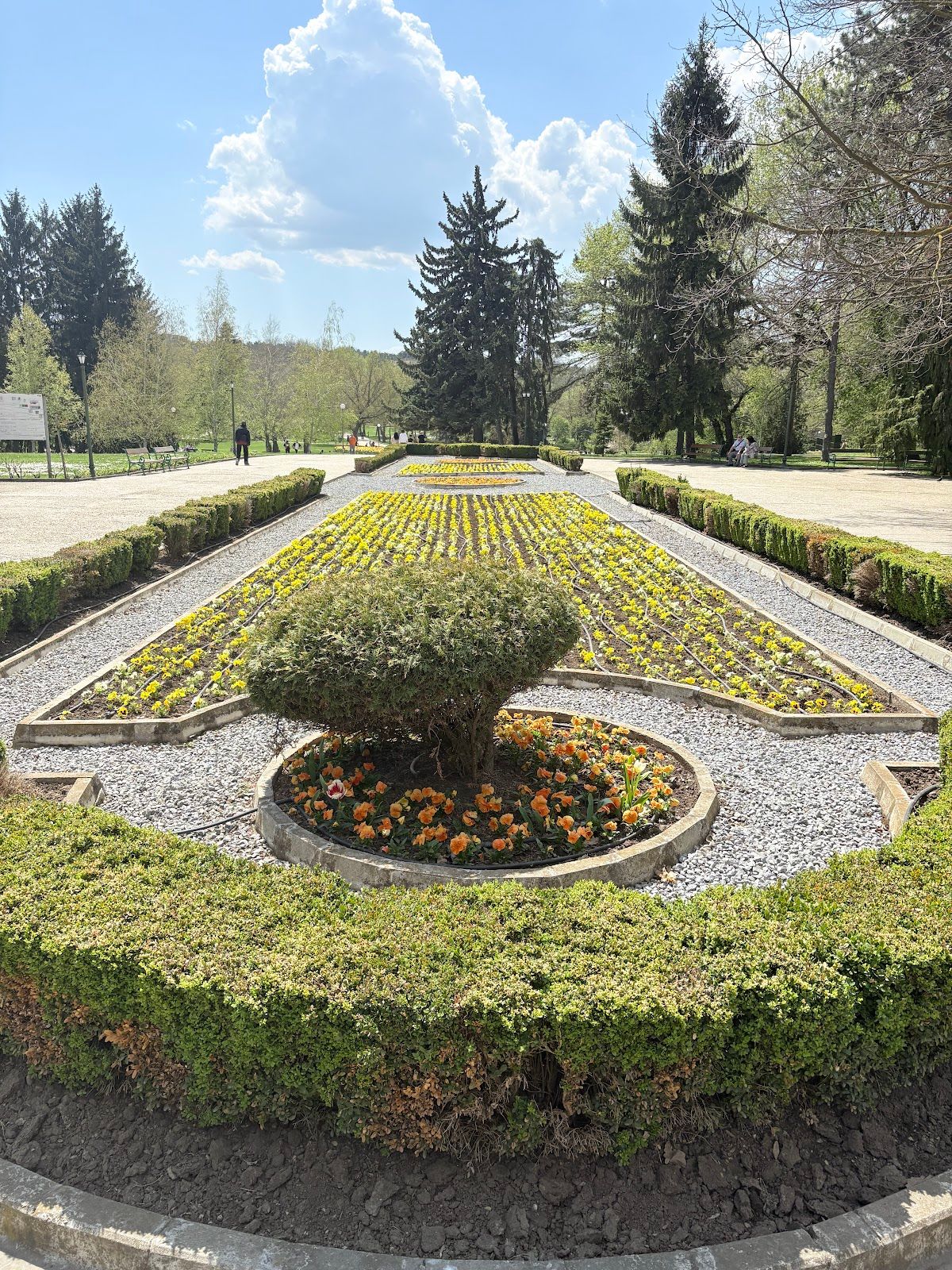 City Park 'Sveti Georgi' – photo 3