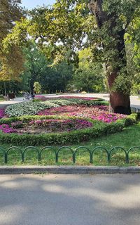 Take a walk in the city park